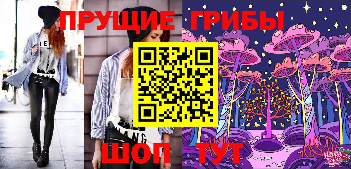 Псилоцибиновые грибы Psilocybine cubensis Люберцы